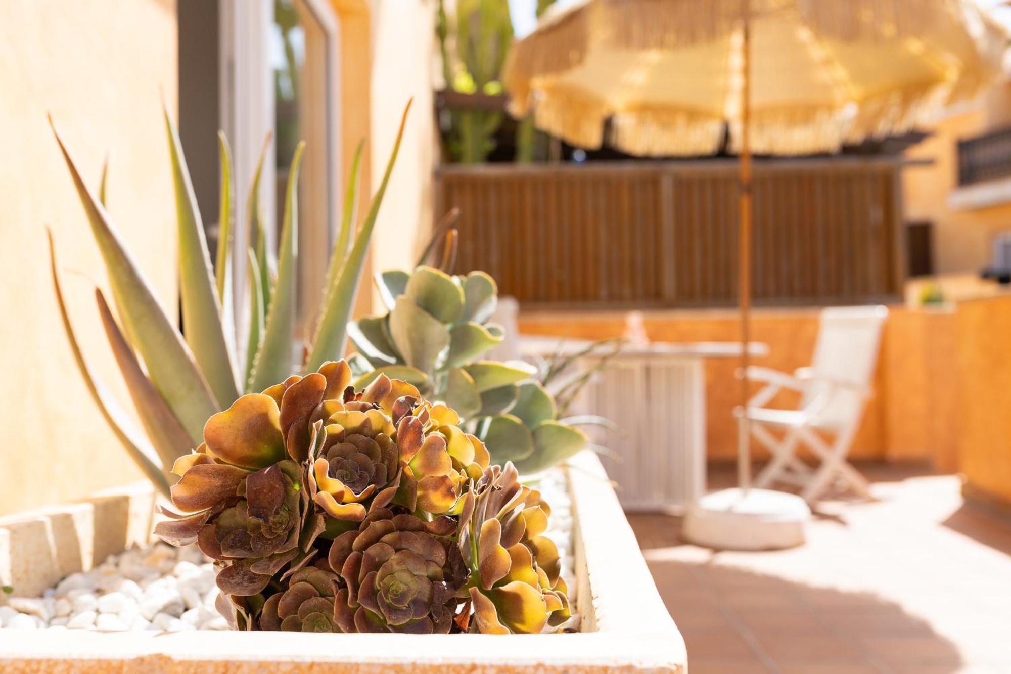Palm Beach House Corralejo Ngoại thất bức ảnh